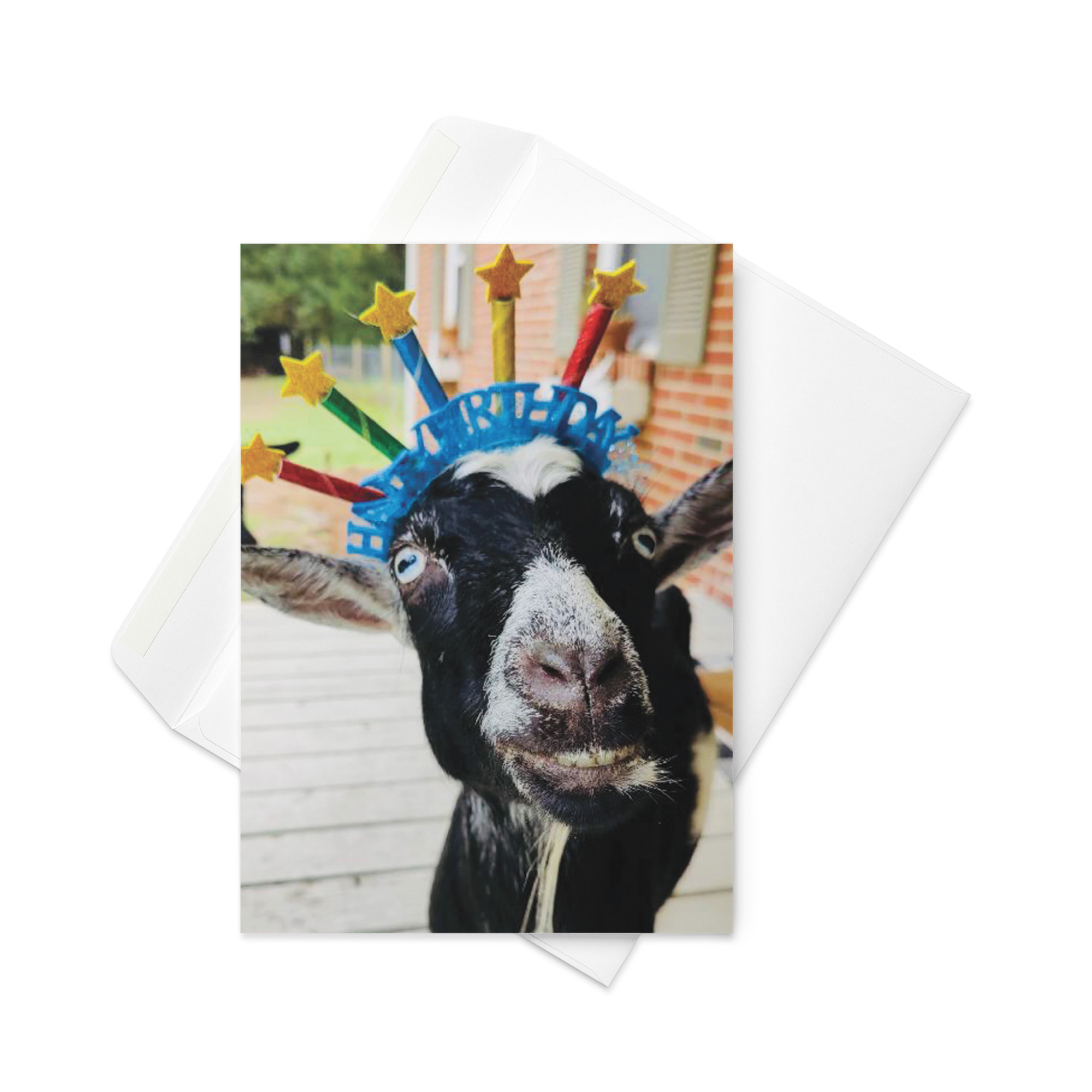 Goat Friend Greeting Card, Gifts With Goats, Printable Goat Birthday Card, Goat  Gifts for Goat Lovers, Funny Goat , Goat Stuff, Friend Card -  Canada